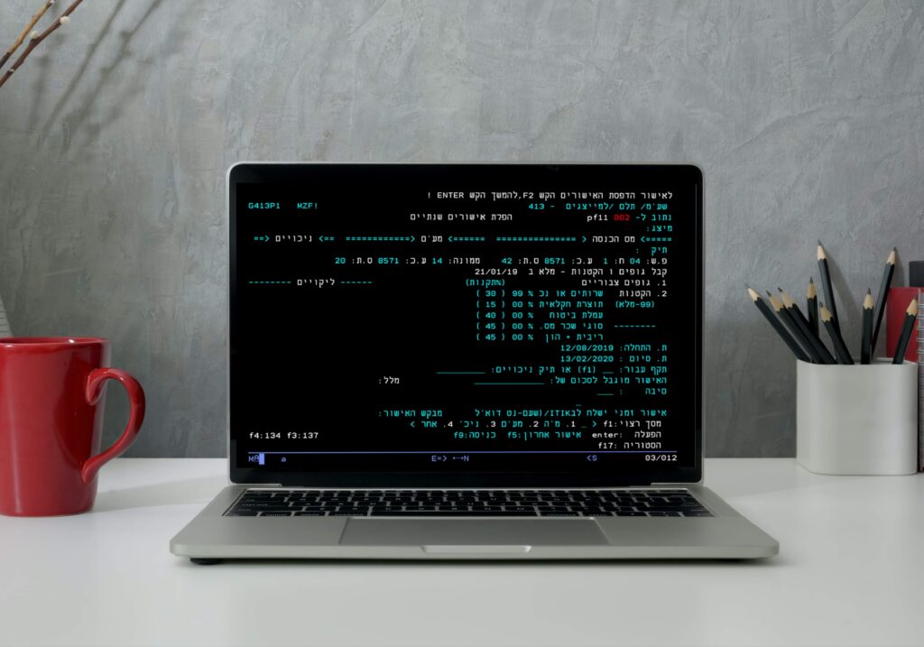 המדריך המלא לחיבור מייצג למערכת שע"מ